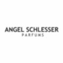 Logo de ANGEL SCHLESSER